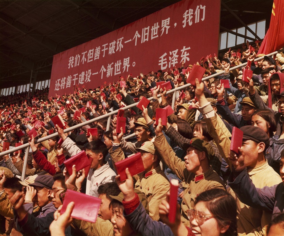 110630_7NEW_104411794