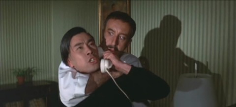 a-shot-in-the-dark_480_poster