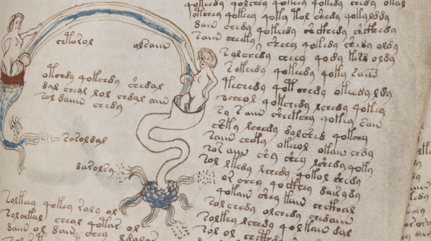 Detail from Voynich manuscript at bibliotecapleyades.net