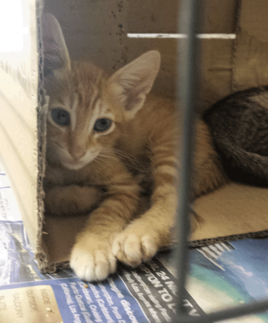 2013-08-29 16.44.32_resized_1