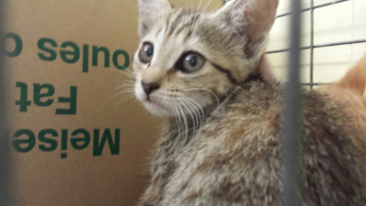 20130827_142318_resized_2