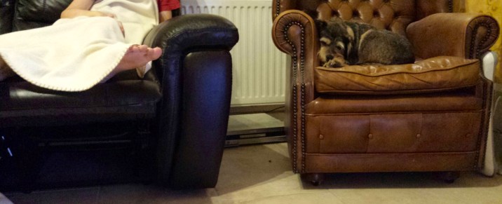 20130827_205350_resized