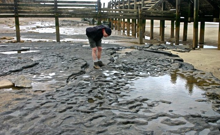 Picture by Martin Bates for the Daily Mail