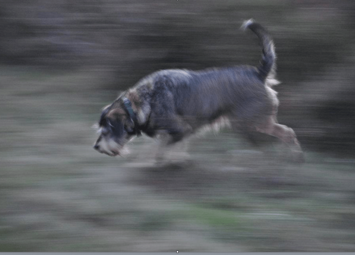 Screen Shot 2014-03-24 at 19.50.39