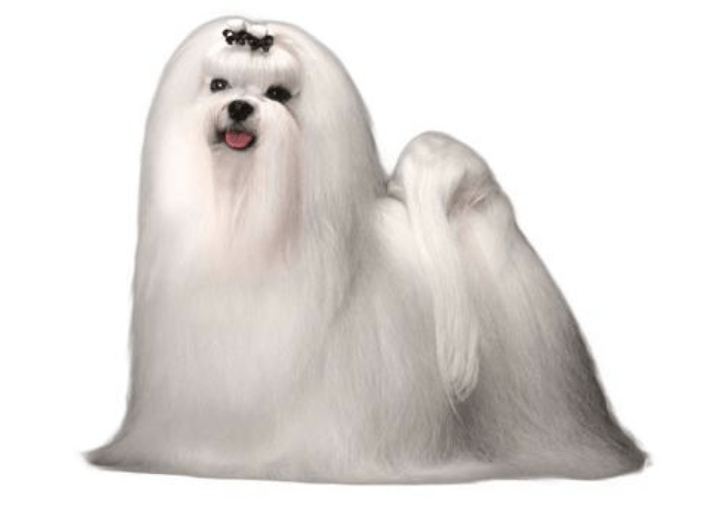 Screen Shot 2014-06-02 at 21.07.36