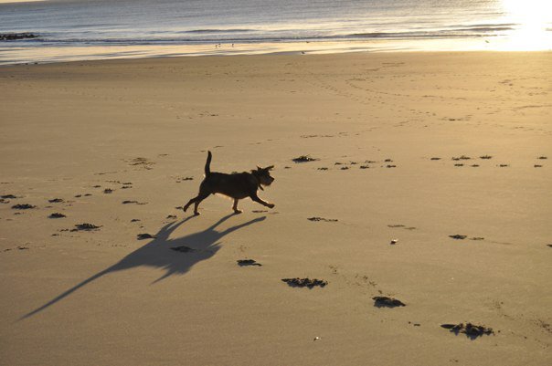 69130_448129839908_715452_n