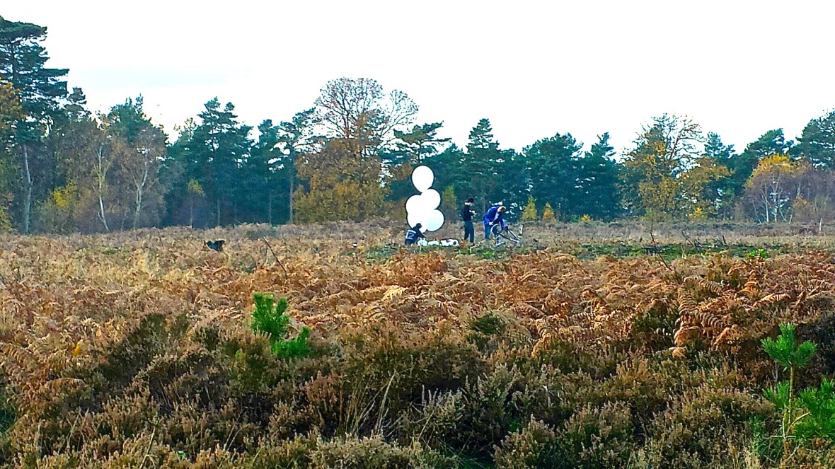 20141115_153651_resized