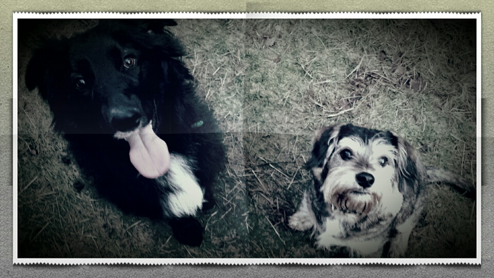 2015-01-02 19.20.27_resized