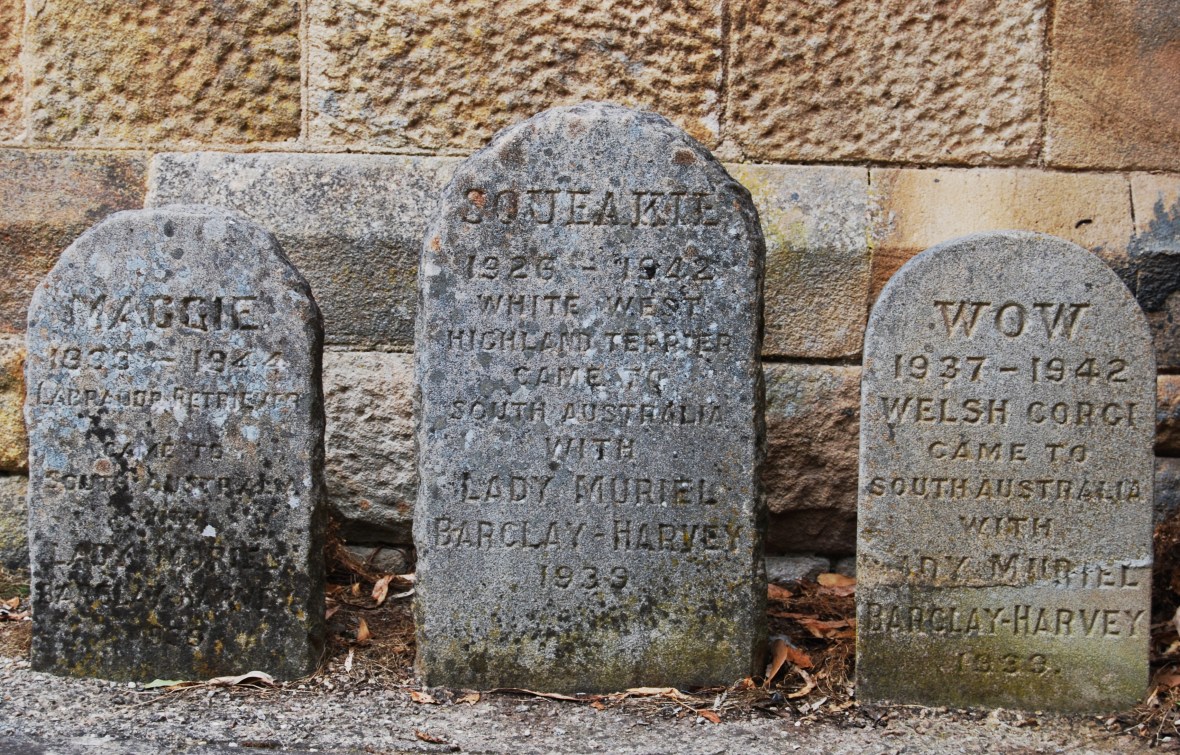 Pet_Gravestones_-_Marble_Hill