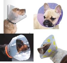 mHsFtBfaV8EOAr0W393VZpQ