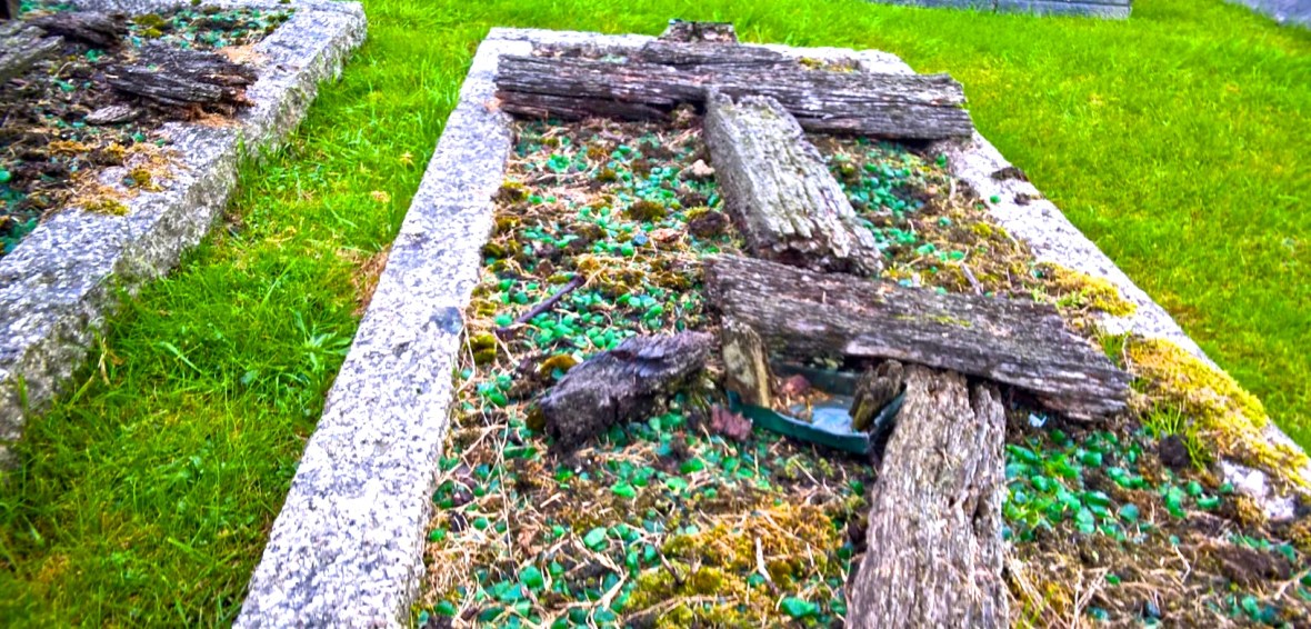 WP_20150914_15_24_31_Pro